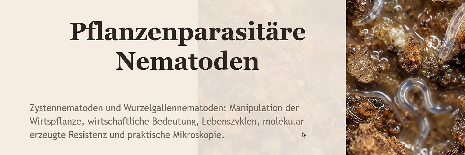 -Pflanzenparasitaere_Nematoden__Beitrag_Chris_Thomas-